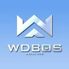 WDBOS - Pengalaman Bermain Slot Terbaik
